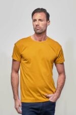 Tee Shirt Benoit Moutarde 1.jpg