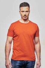 Tee Shirt Louis Brique 1.jpg