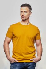 Tee Shirt Louis Moutarde 1.jpg